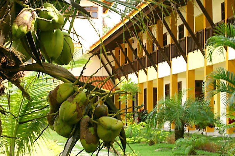 Girassol Praia Hotel Guaibim Dış mekan fotoğraf
